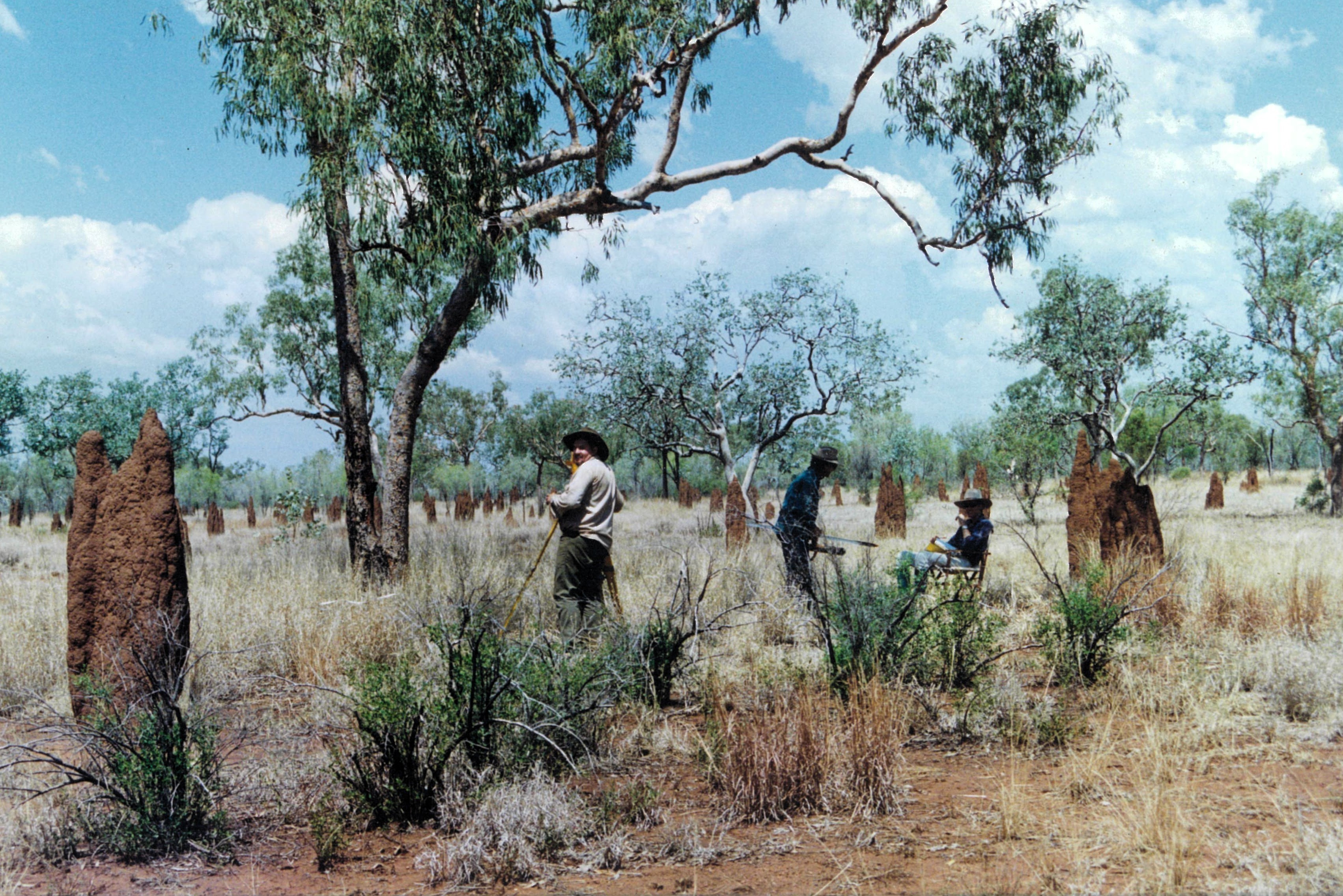 Land Resource Surveys Wave Hill Station 1997 Edit